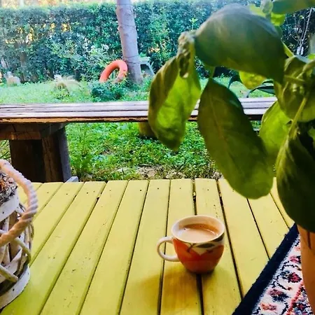 La Casa Di Nataly Bed & Breakfast Fregenae