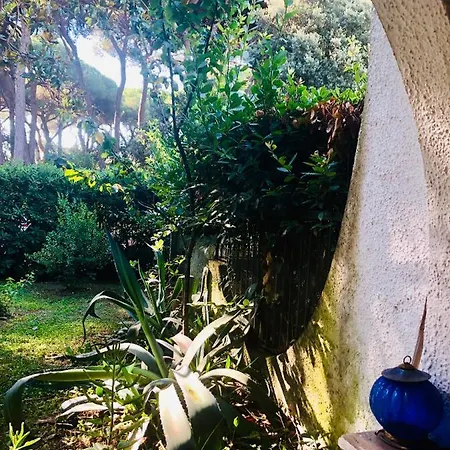 Bed & Breakfast La Casa Di Nataly Fregenae